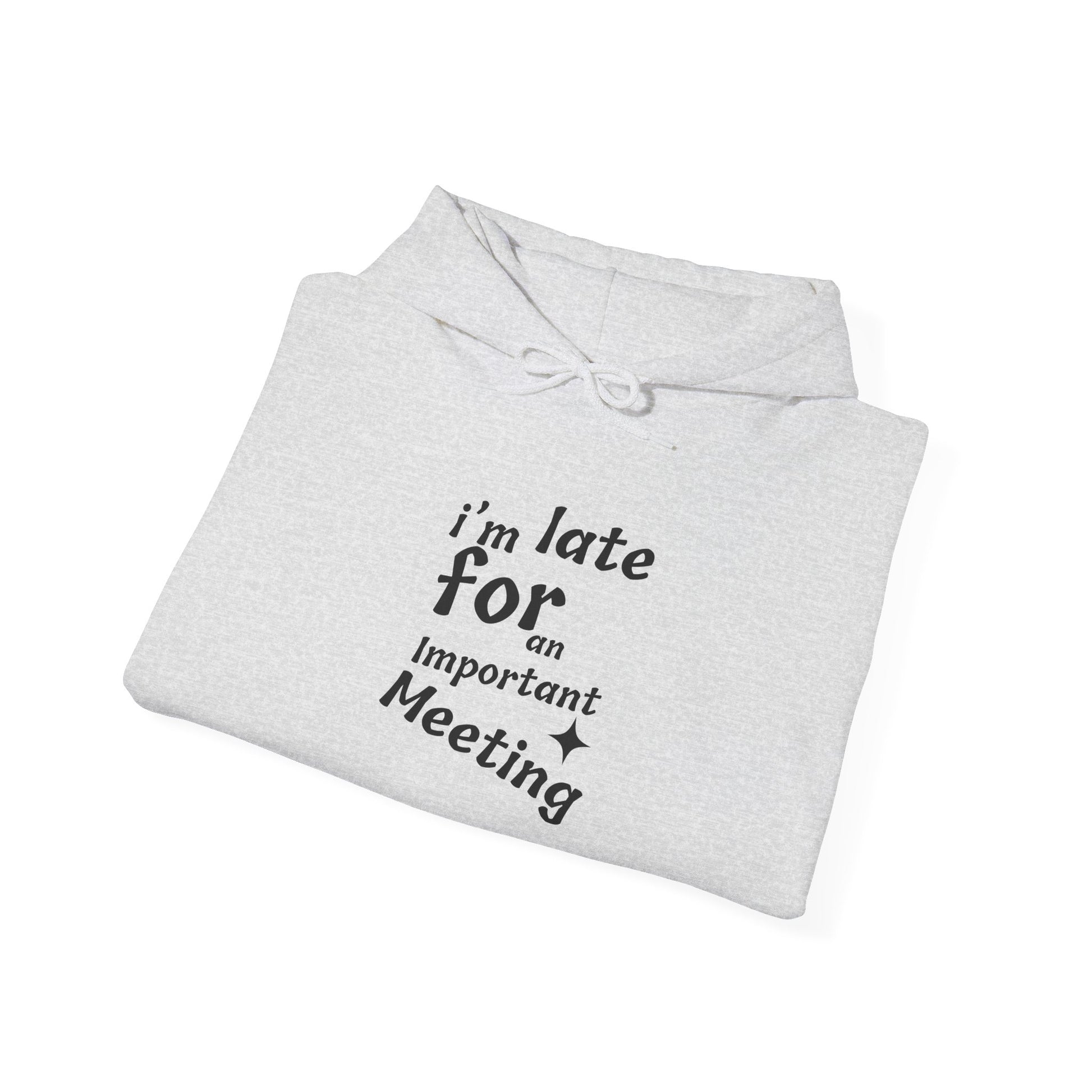 'I'm Late for an Important Meeting' - Unisex Hooded Sweatshirt - Up In Arms