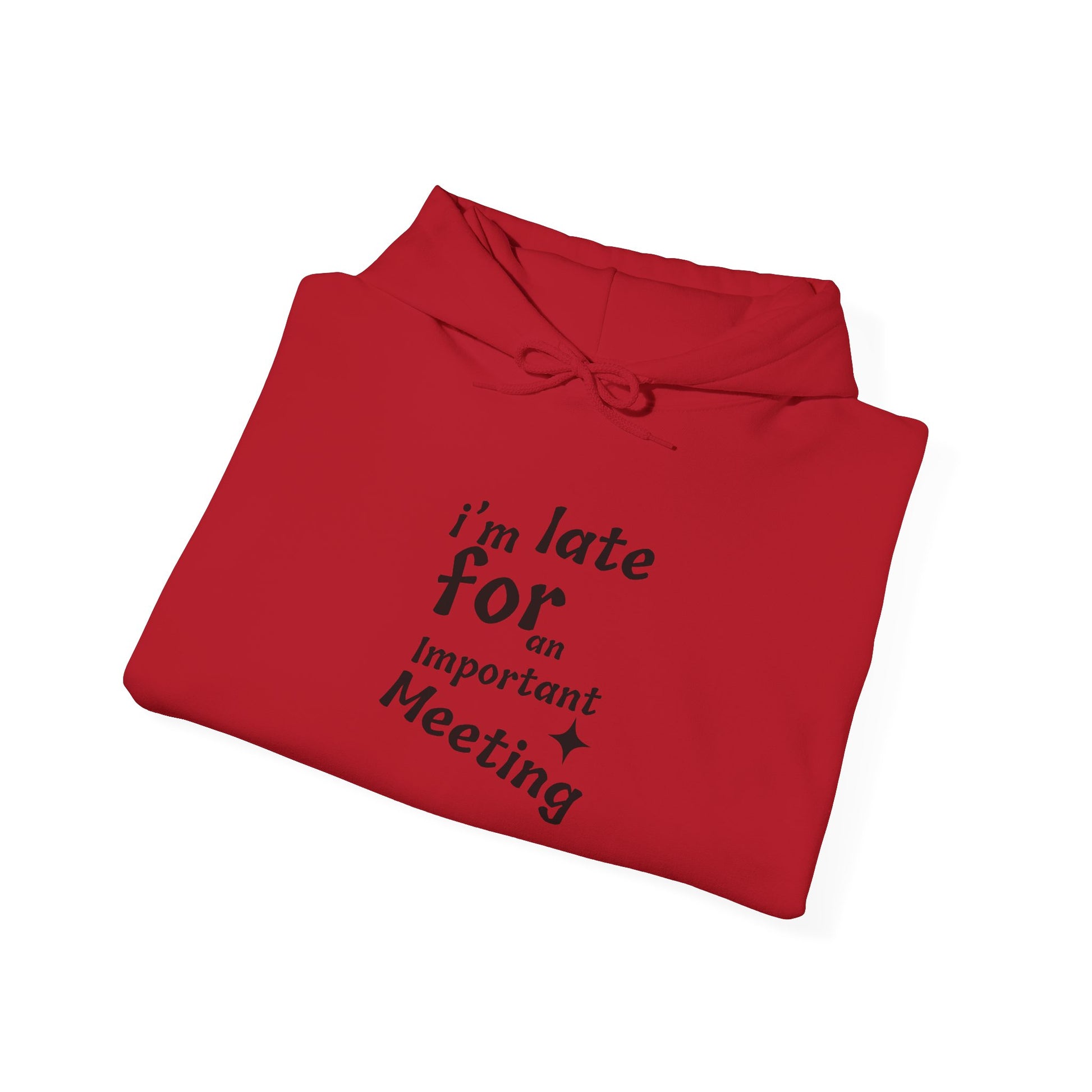 'I'm Late for an Important Meeting' - Unisex Hooded Sweatshirt - Up In Arms