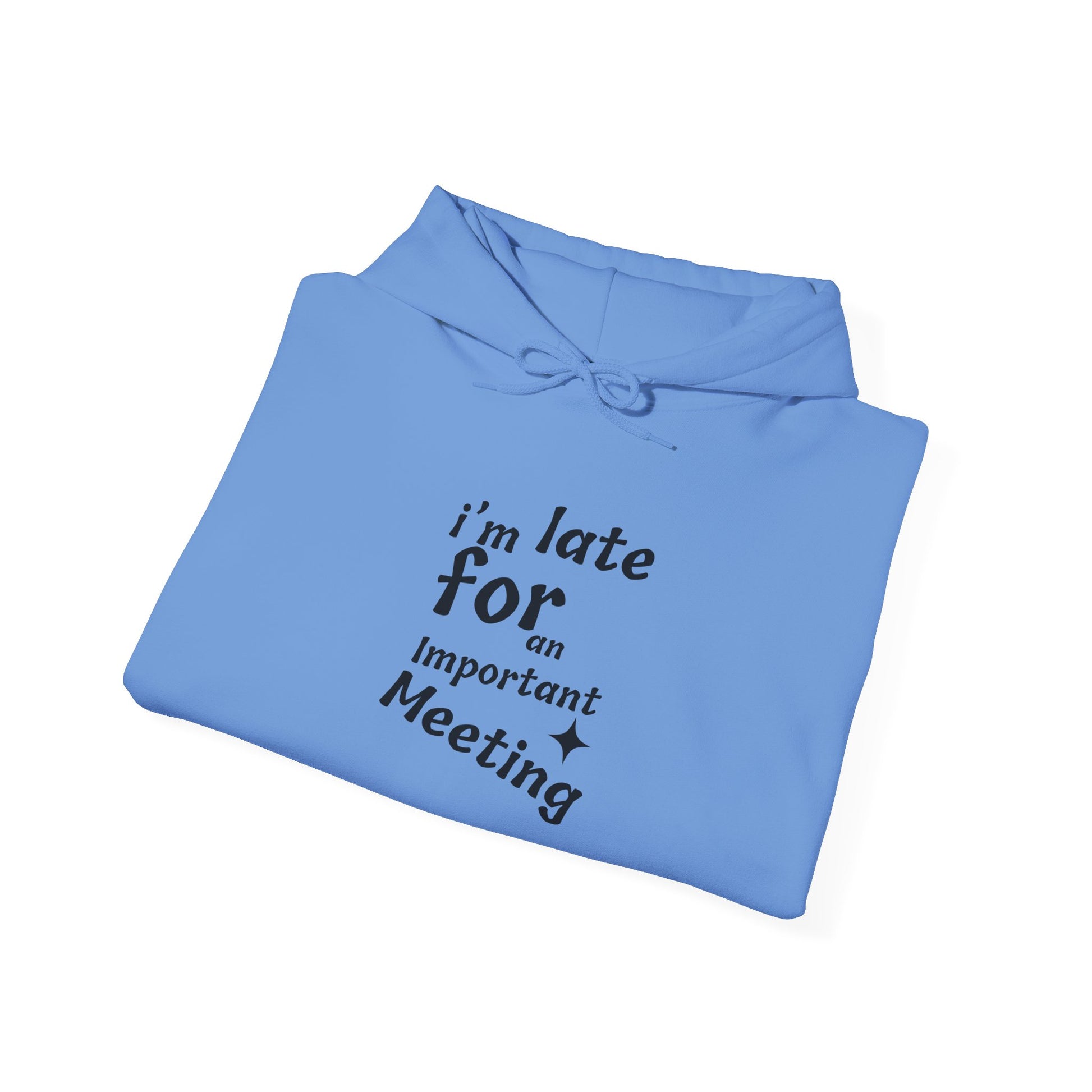 'I'm Late for an Important Meeting' - Unisex Hooded Sweatshirt - Up In Arms