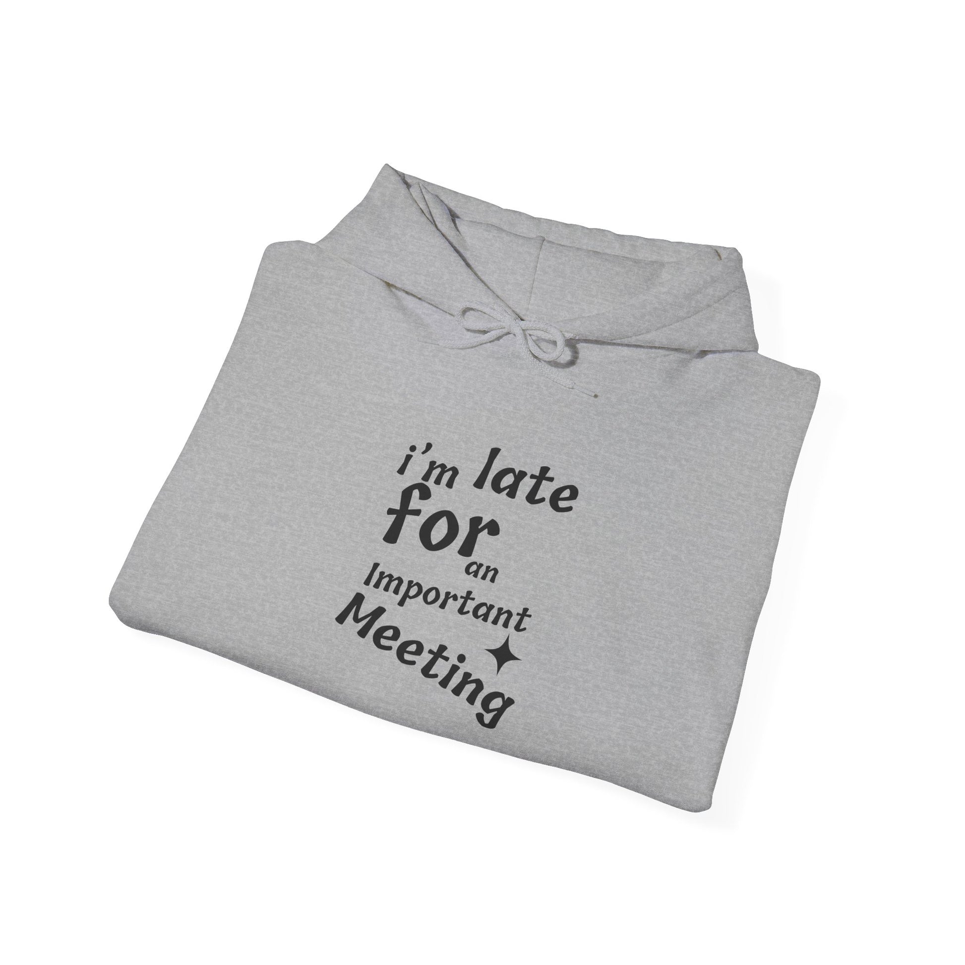 'I'm Late for an Important Meeting' - Unisex Hooded Sweatshirt - Up In Arms