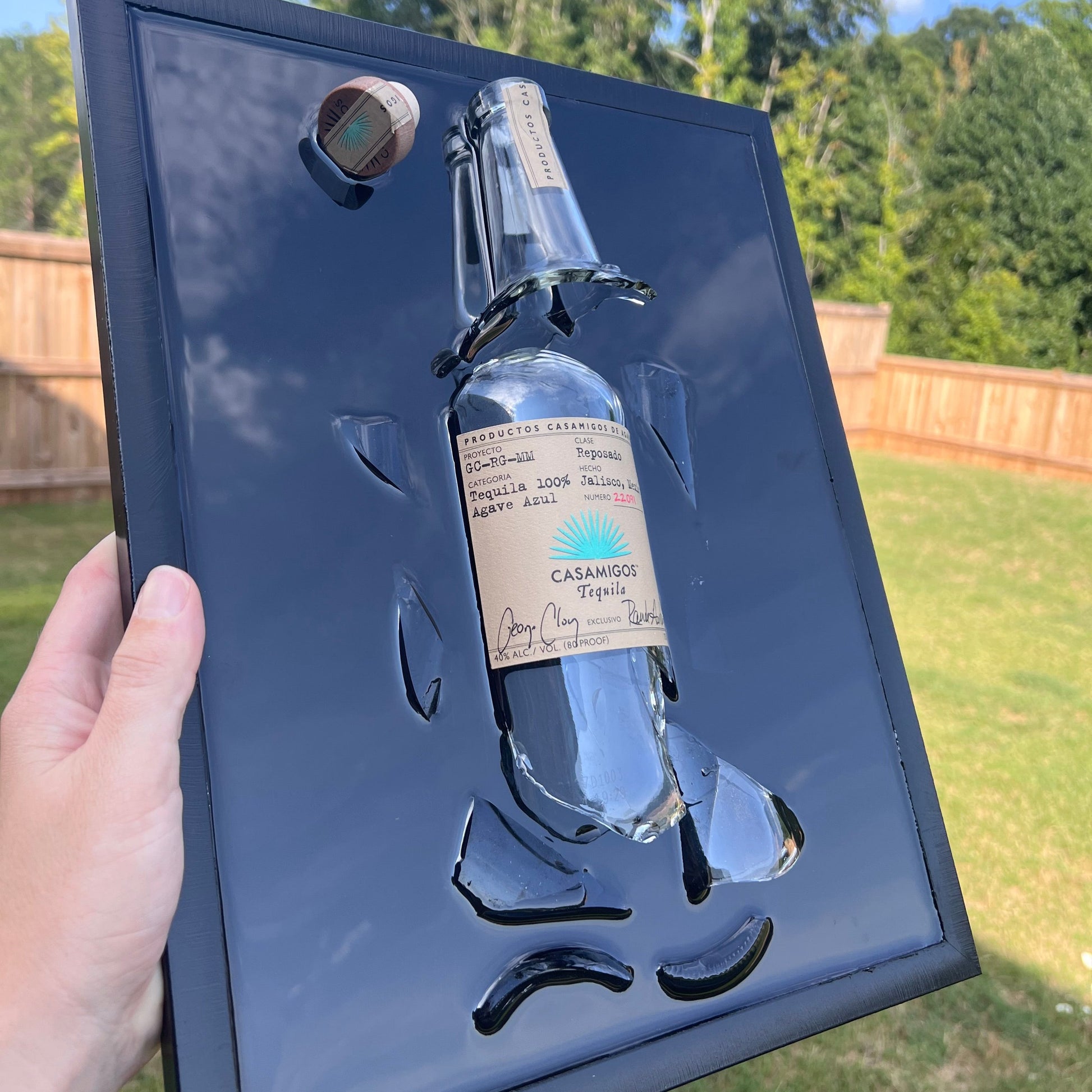 Casamigos  Wall Décor - Up In Arms