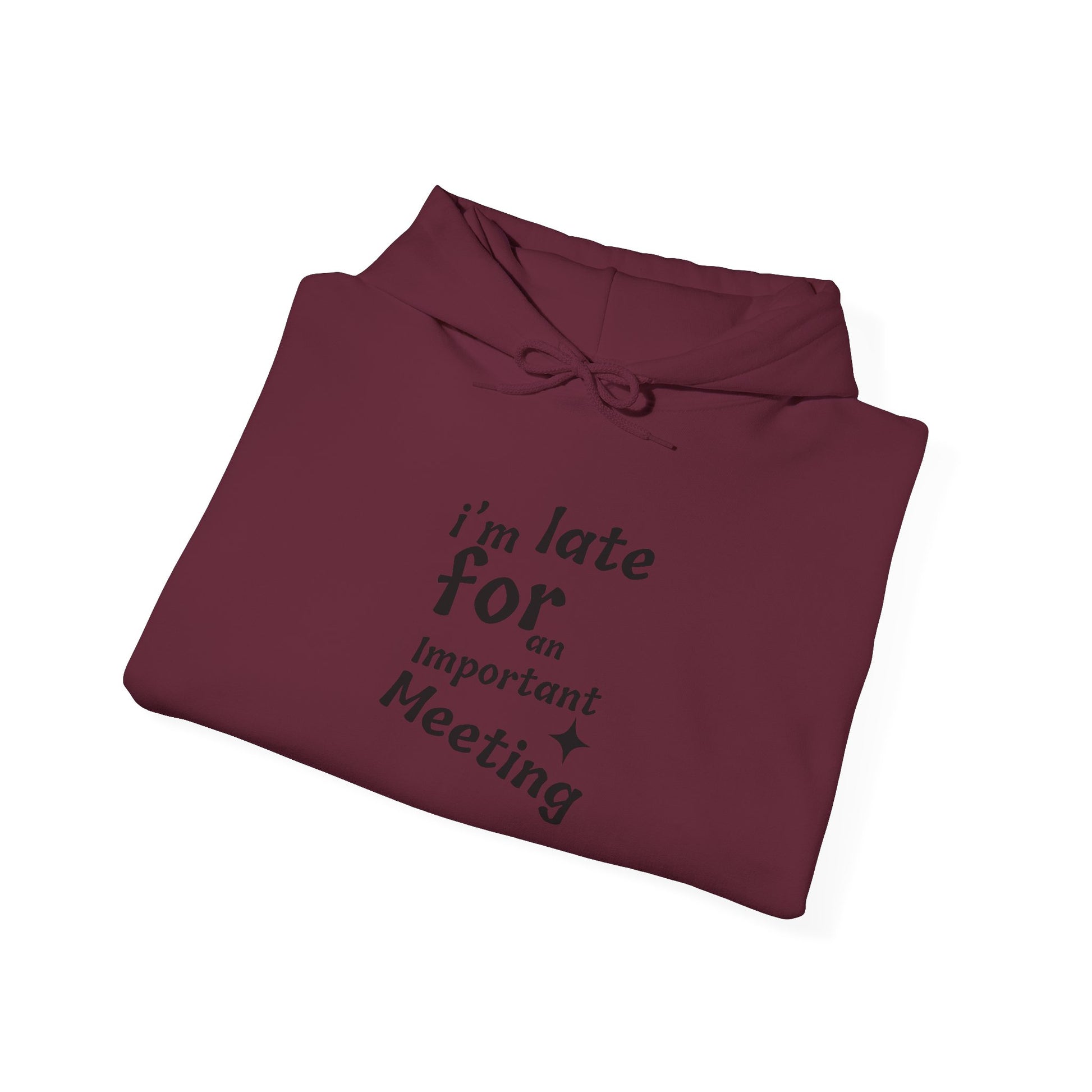 'I'm Late for an Important Meeting' - Unisex Hooded Sweatshirt - Up In Arms