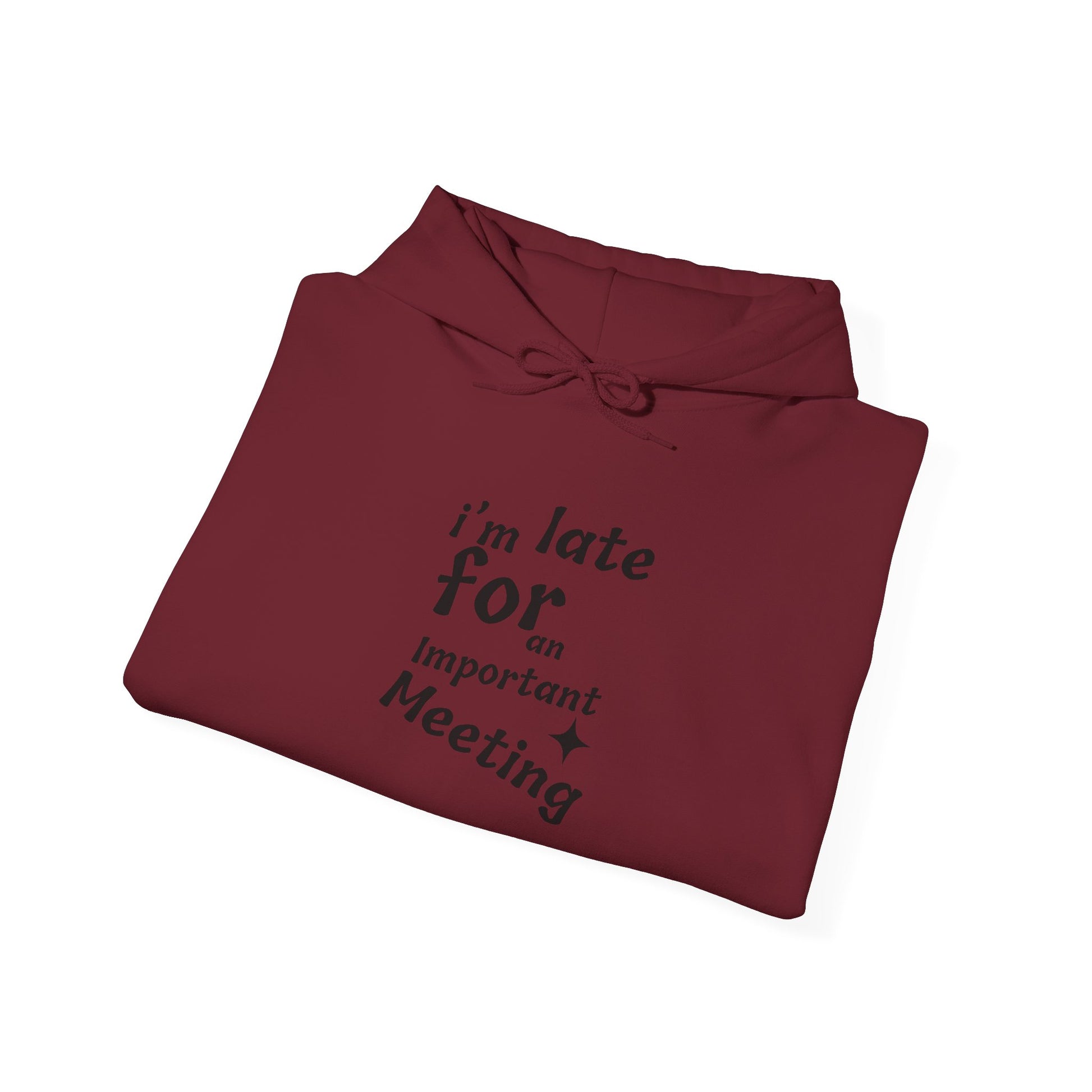 'I'm Late for an Important Meeting' - Unisex Hooded Sweatshirt - Up In Arms