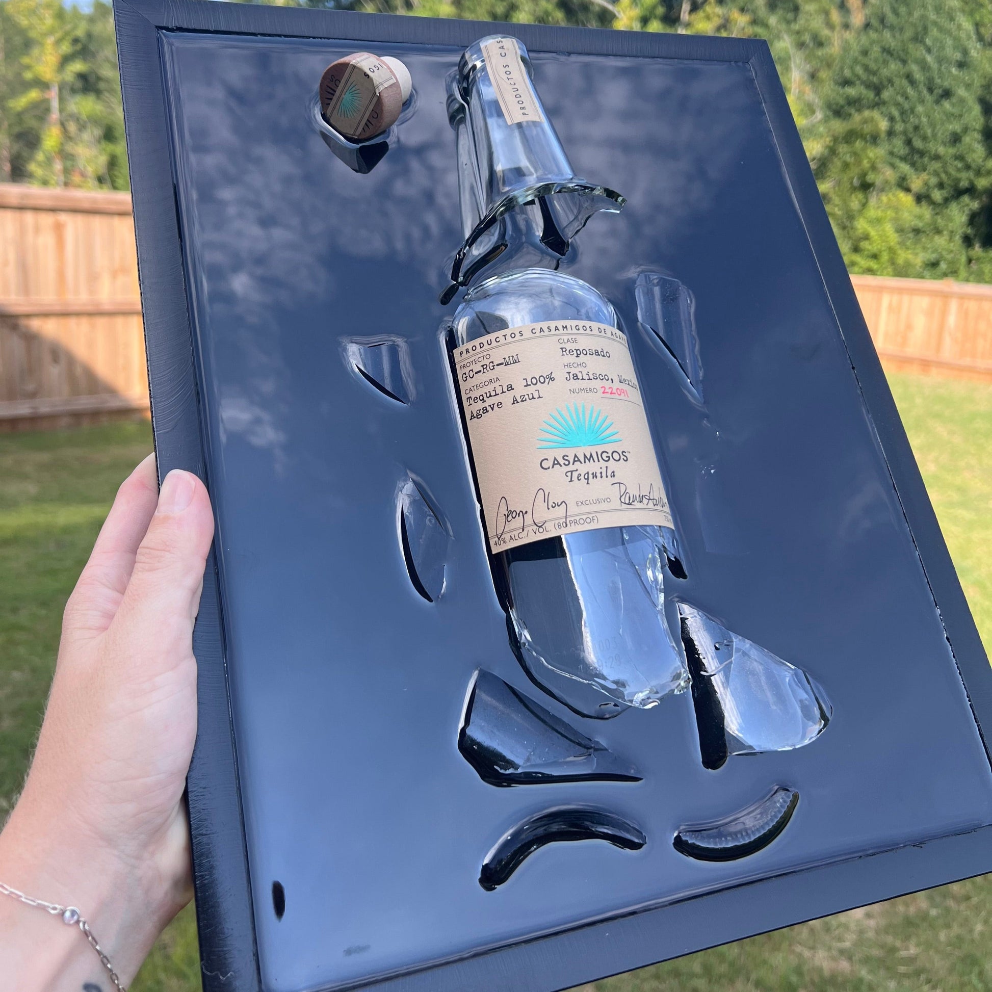 Casamigos  Wall Décor - Up In Arms