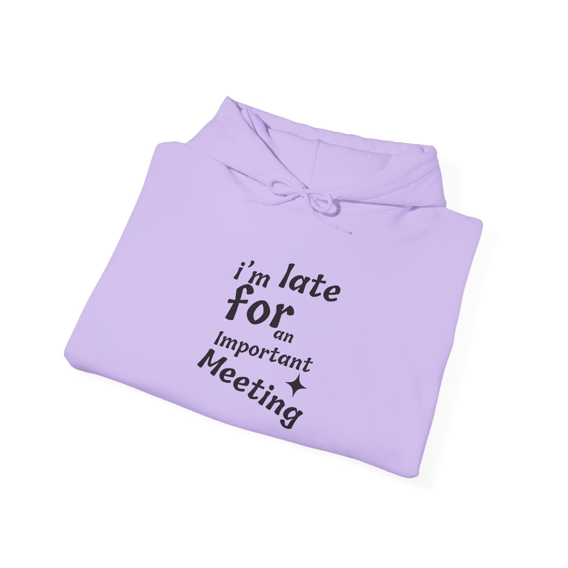 'I'm Late for an Important Meeting' - Unisex Hooded Sweatshirt - Up In Arms