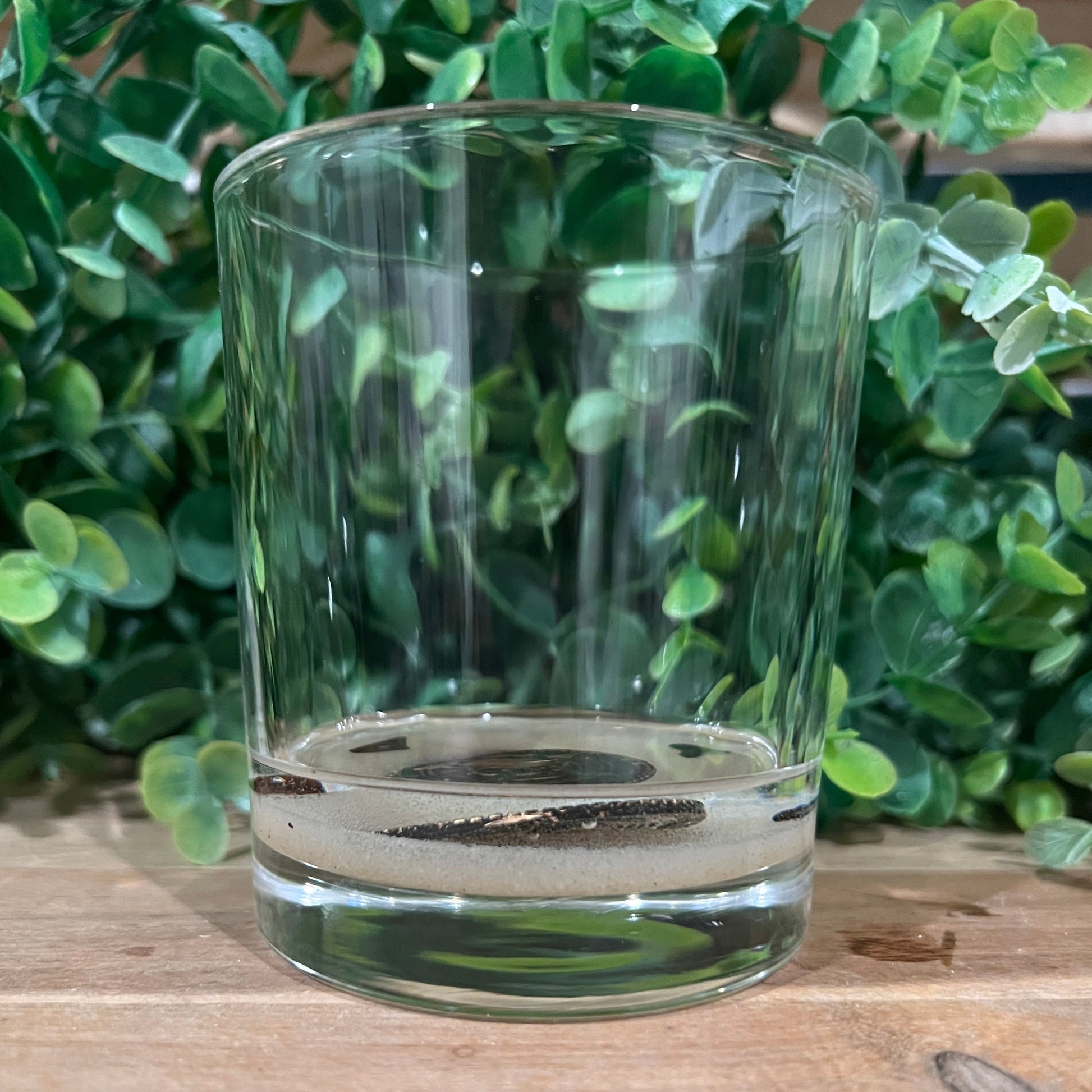 Beach Pirate Rocks/Low Ball Glass - Up In Arms